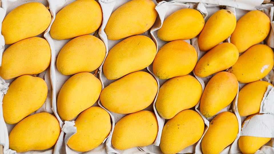 Mangoes From Pakistan High Demand