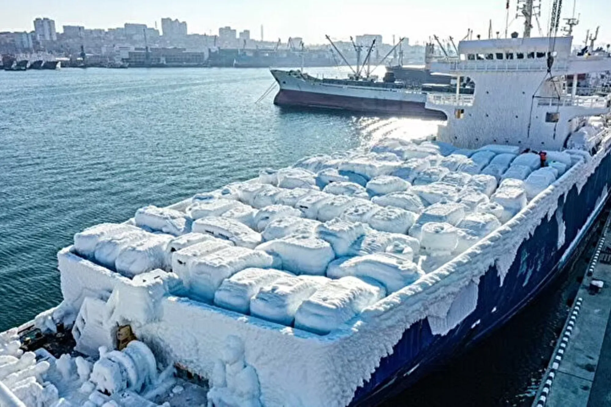 Shipping With Cold Packs vs Dry Ice – Gulf Cold Transport