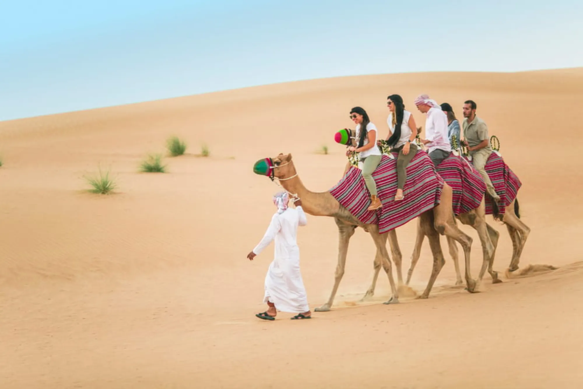 5 Reasons Why People Specially Love Morning Desert Safari Dubai