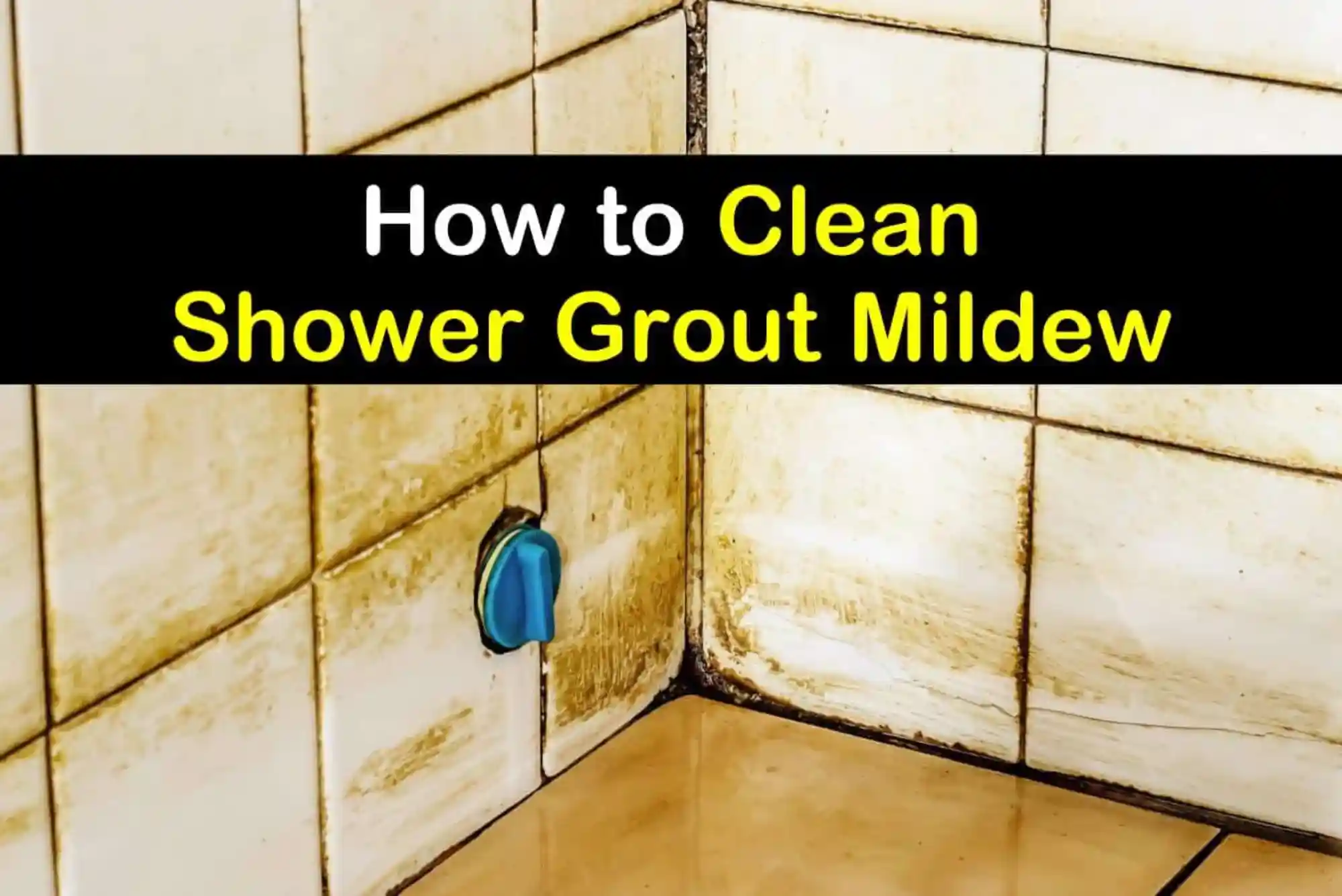 How to Keep Your Shower Grout Clean and Mold-Free