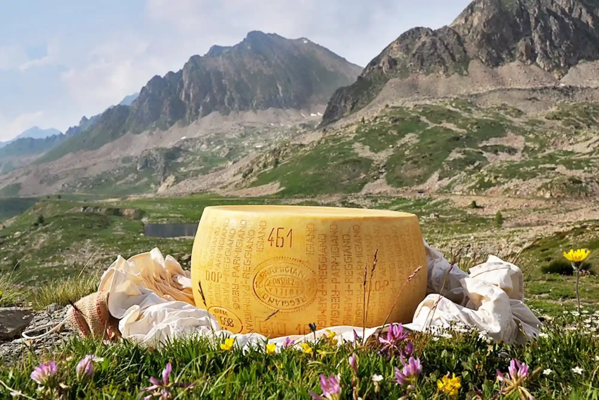 Discover the history of mountain Parmigiano Reggiano and which foods to pair it with