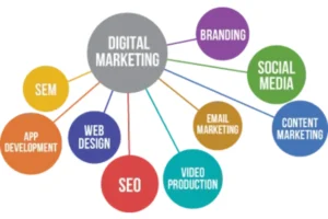 How Do Digital Marketing Agencies Work