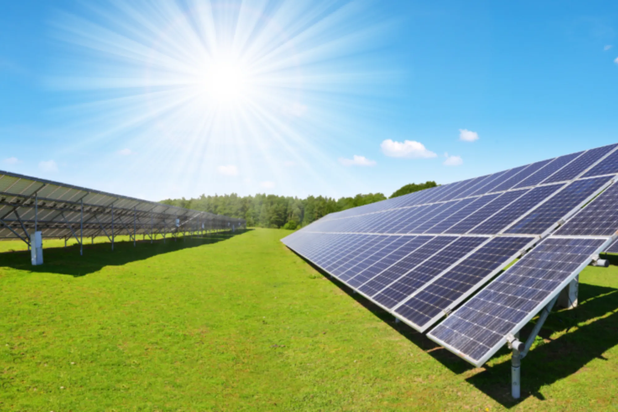 Advancing Renewable Energy with Cutting-Edge Solar Cells