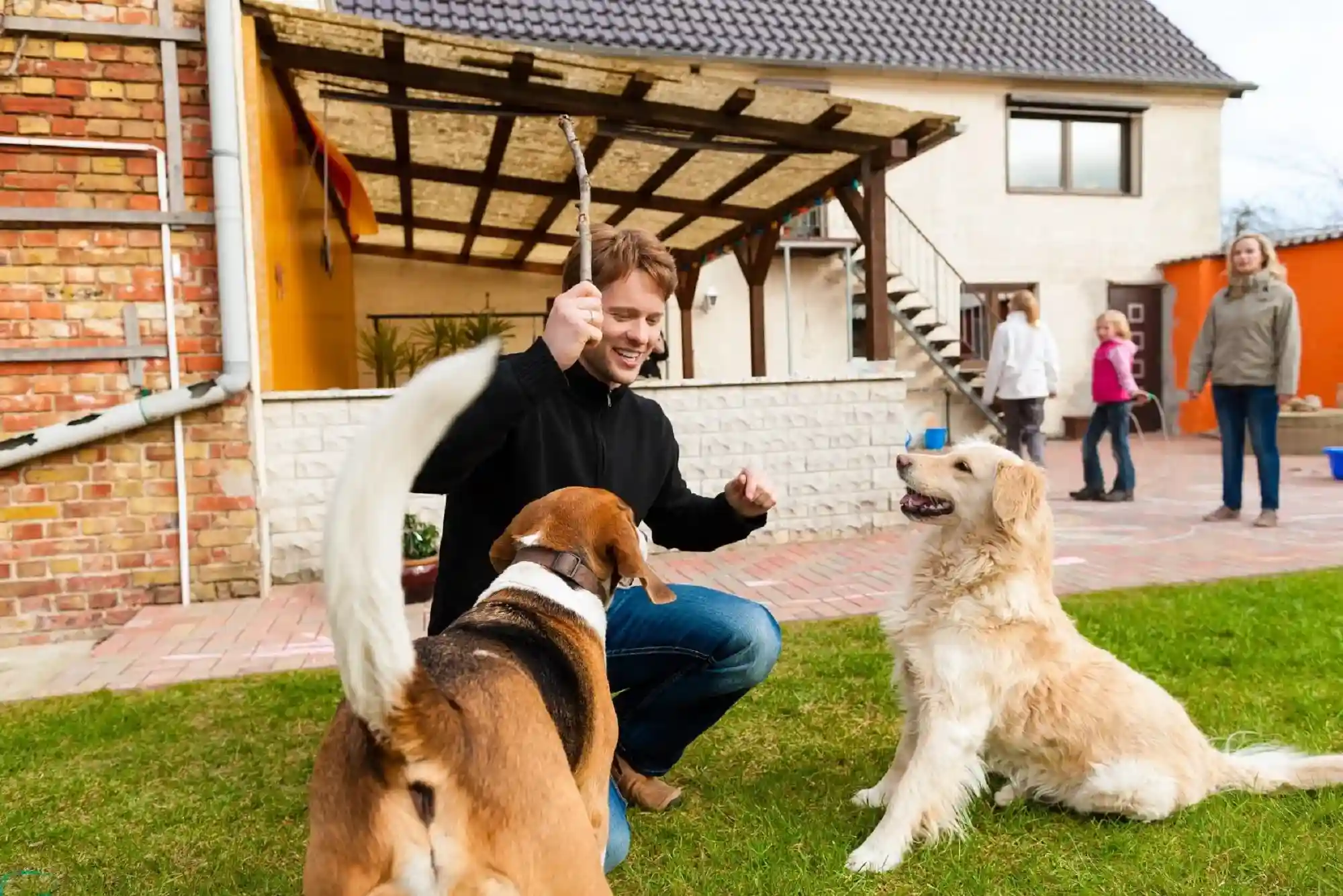 How to Socialize Your Dog