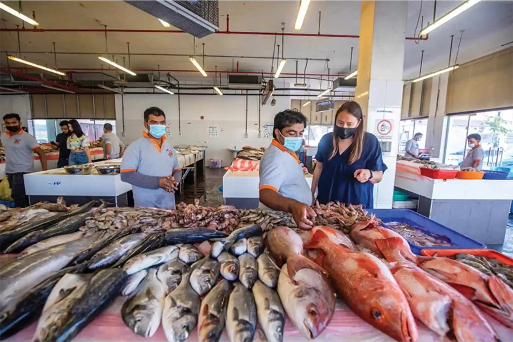 United Fish Dubai Price List & Shopping Guide for Ajman Fish Market
