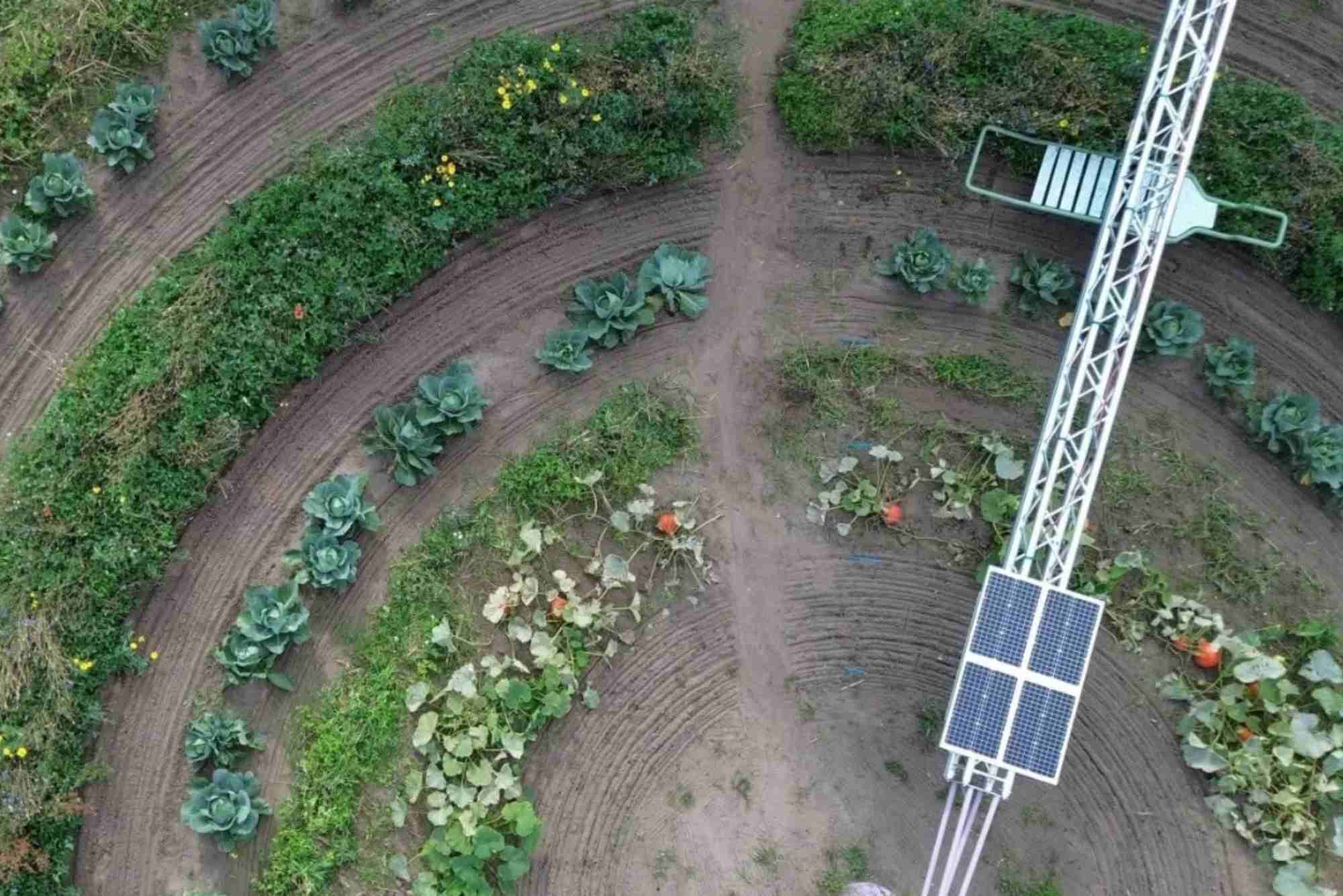 Agritech Startups Win Funding for Regenerative Agriculture Rollouts