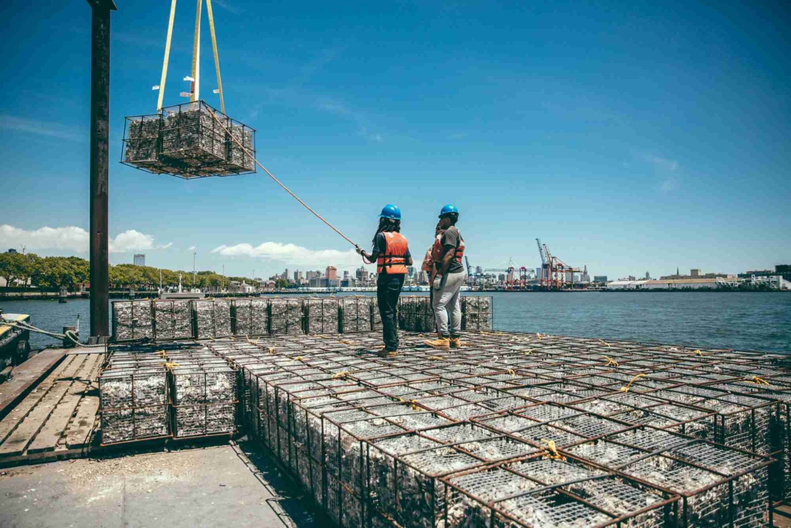 Coastal Destination Introduces Marine Conservation Fees to Fund Restoration