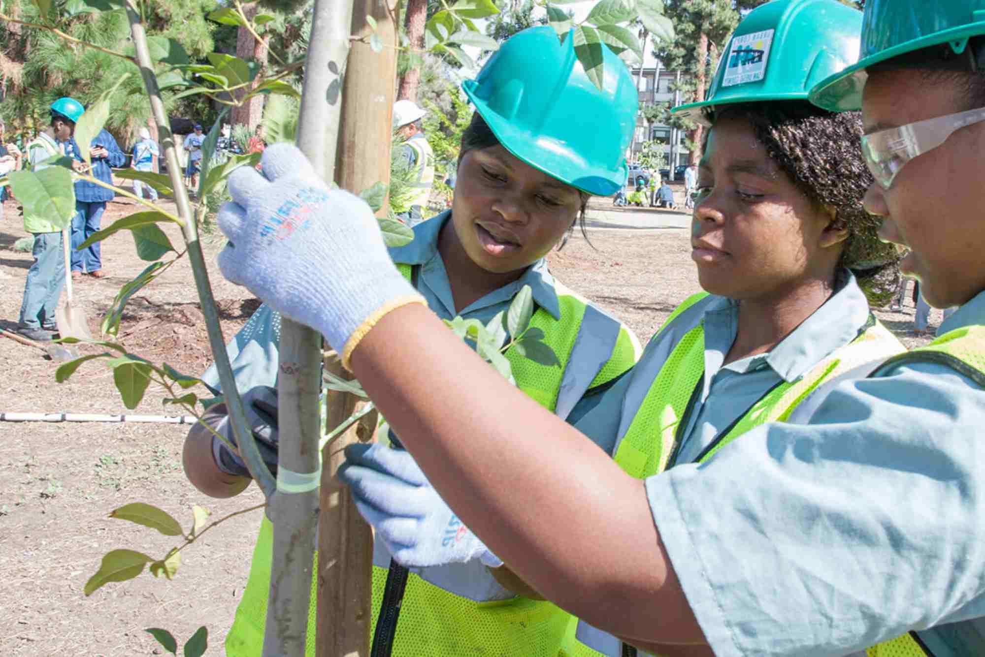 City-Level Green Job Corps Launched to Train Workers for Climate Careers