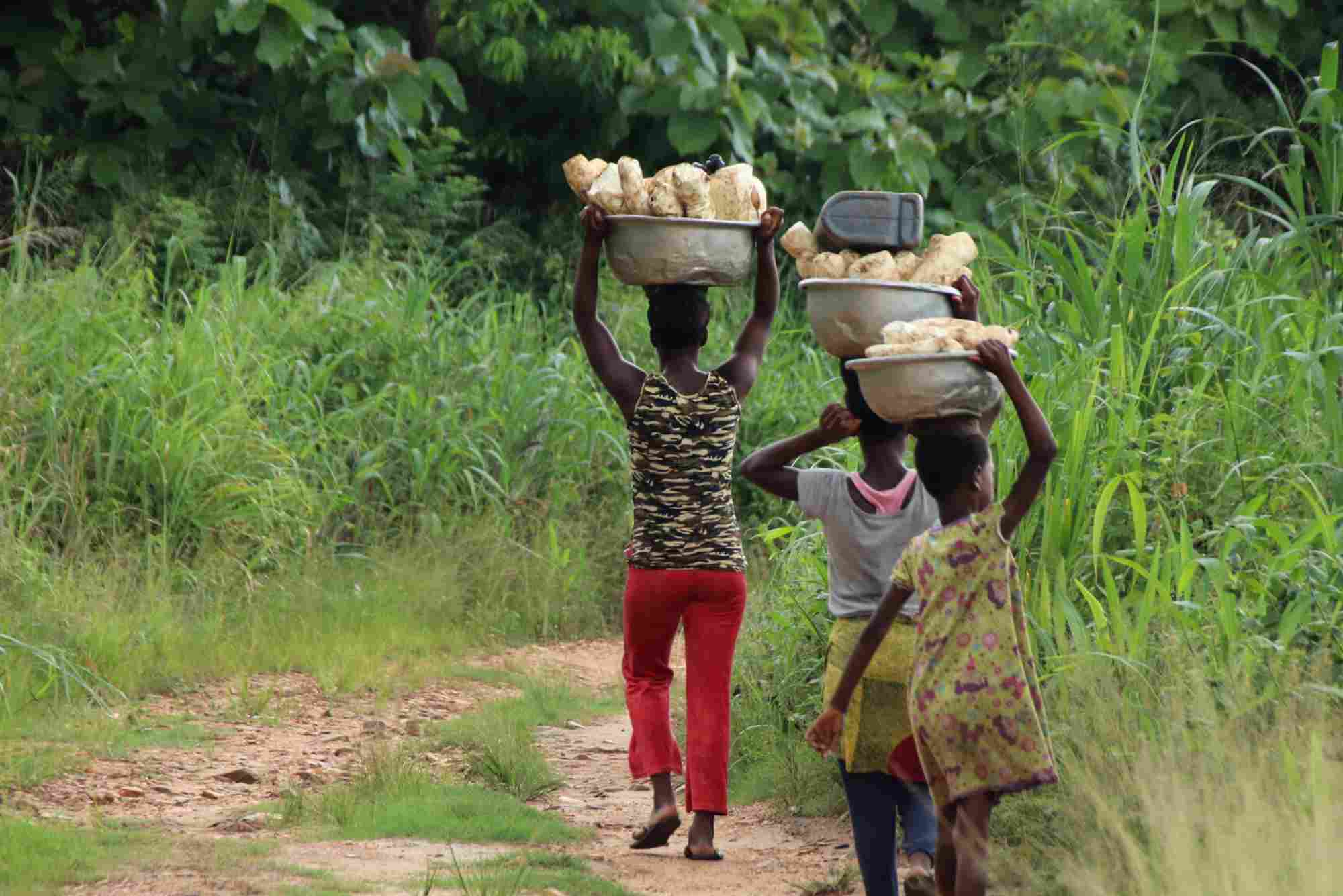 Climate-Smart Insurance Products Roll Out to Protect Smallholder Farmers