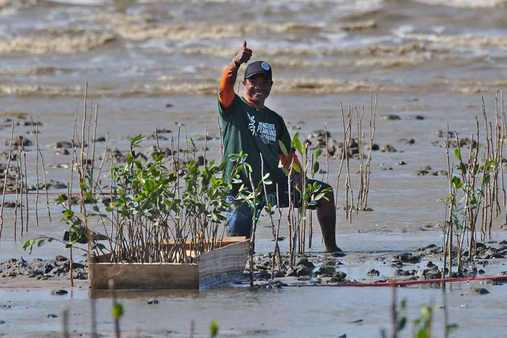 Community-Led Mangrove Restoration Program Secures Multi-Year Funding