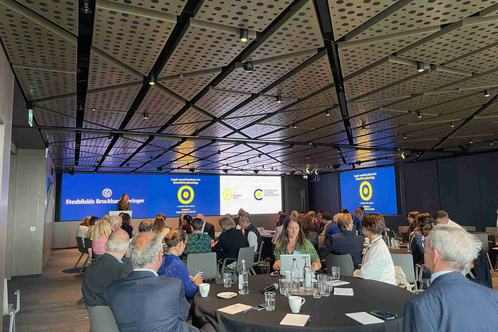 Corporate Climate Litigation Risk Prompts Accelerated Disclosure and Mitigation Plans