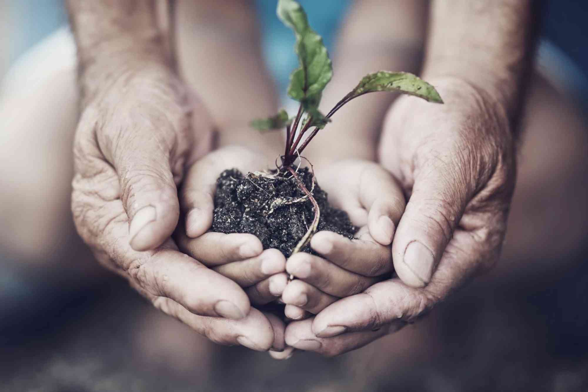 Corporate Issues Sustainability-Linked Loan Tied to Emissions Targets