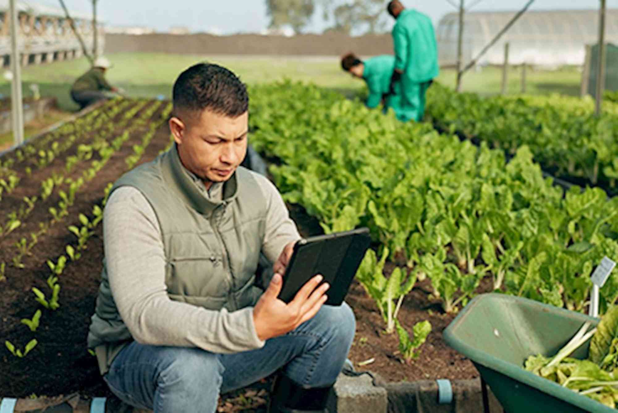 Cross-Sector Skills Partnership Launches Rapid Reskilling for Green Transition Roles