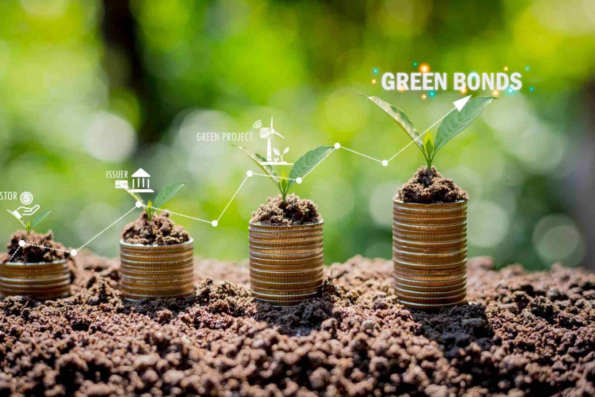 Green Bond Issuance Funds Regional Renewable Energy Projects