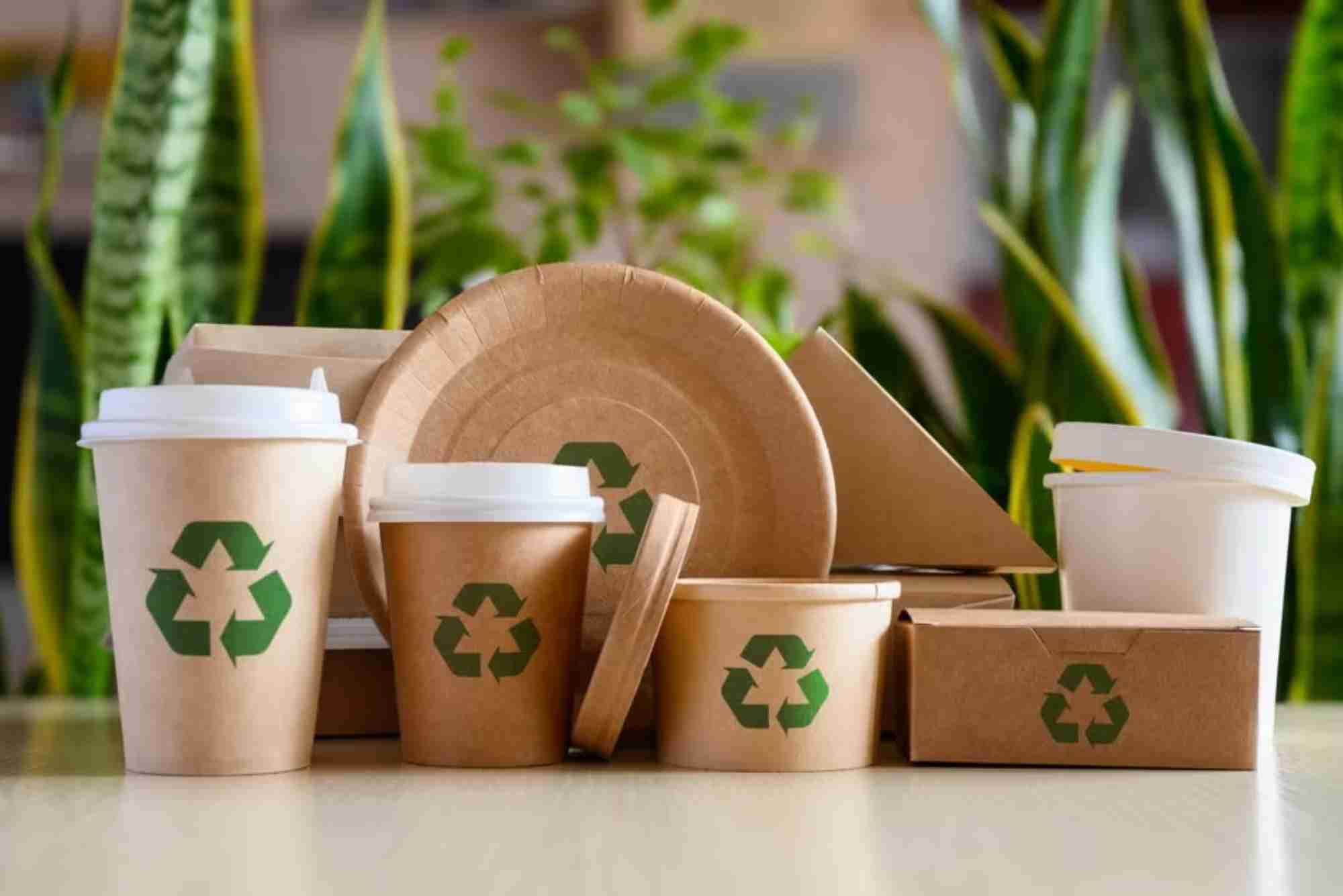 Home Décor Label Releases Biodegradable Packaging and Refill Program