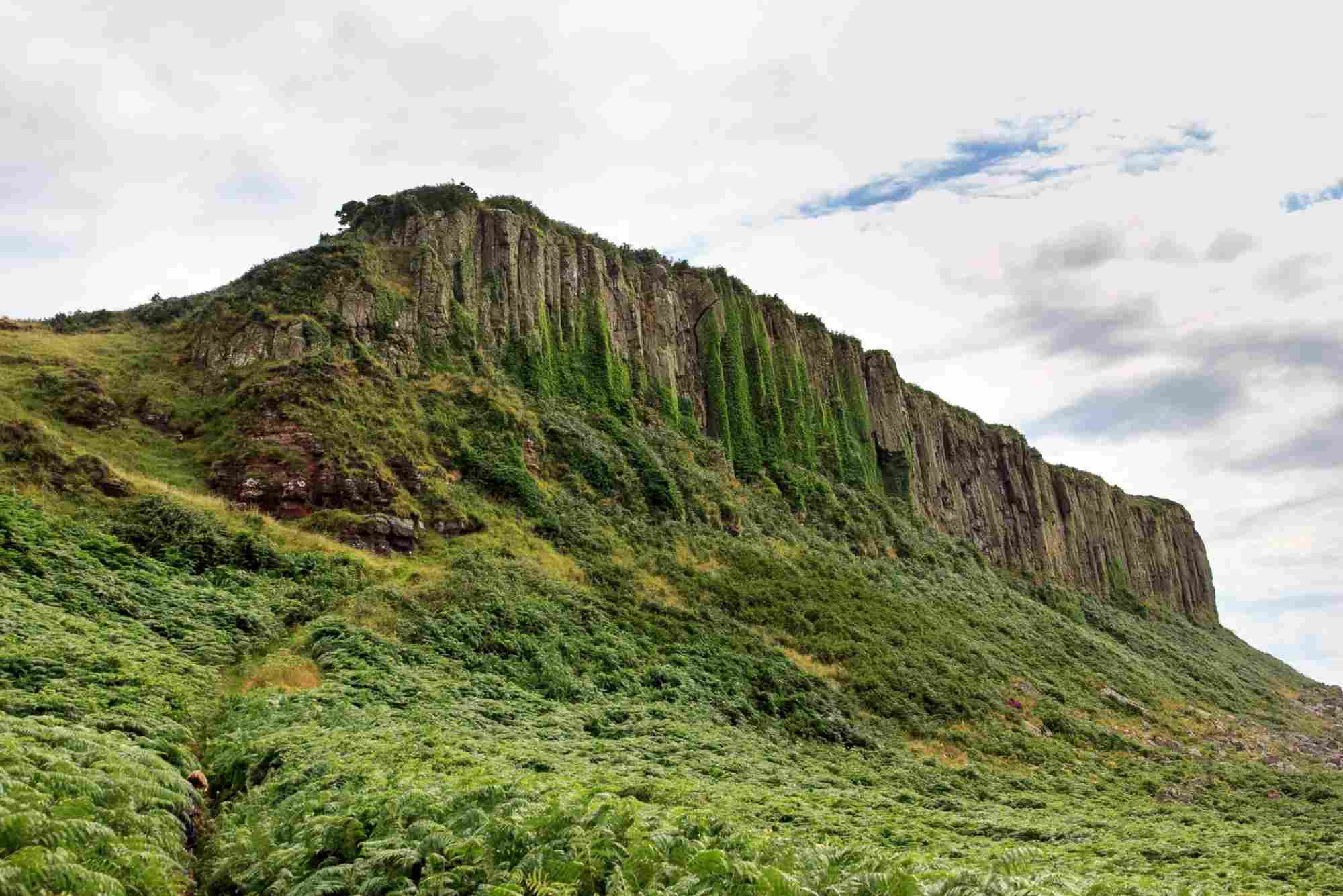 New Standard for Biodiversity Credits Gains Industry Endorsement