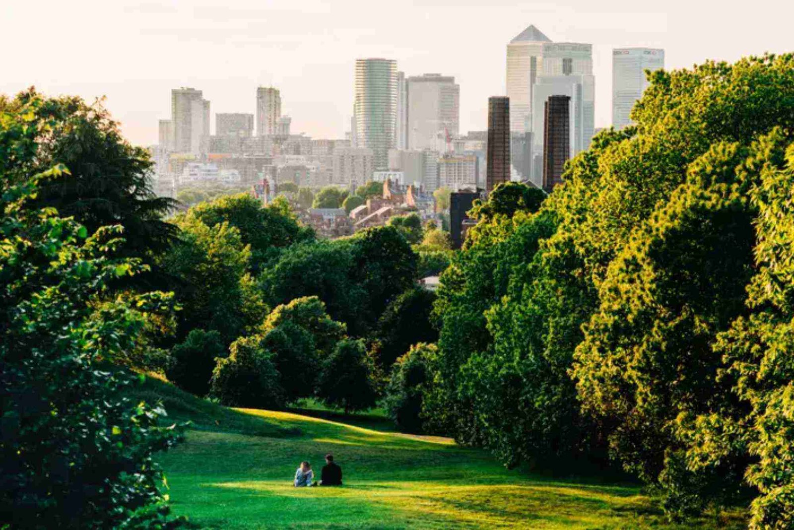 New Study Links Urban Green Spaces to Lower Healthcare Costs