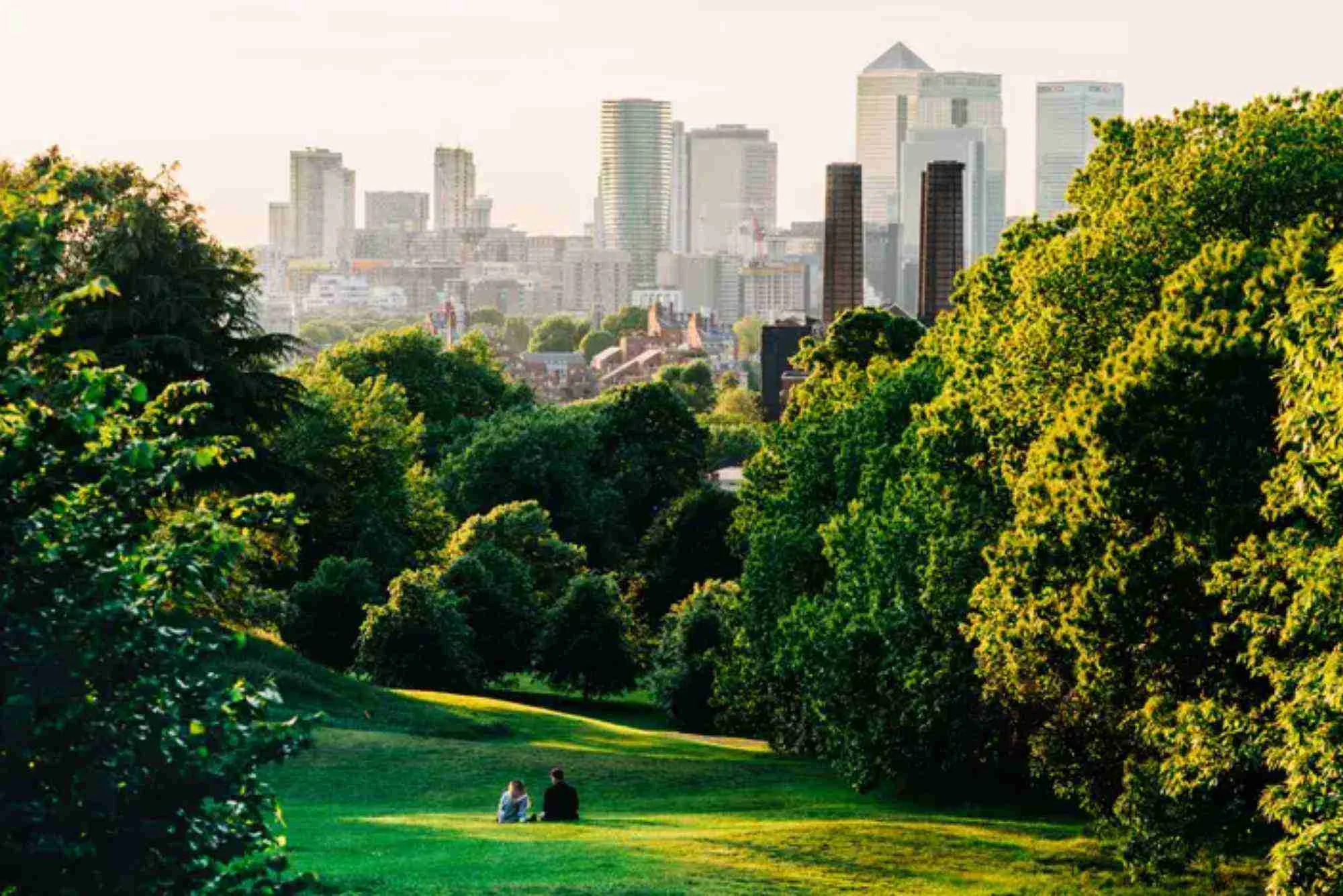 New Study Links Urban Green Spaces to Lower Healthcare Costs