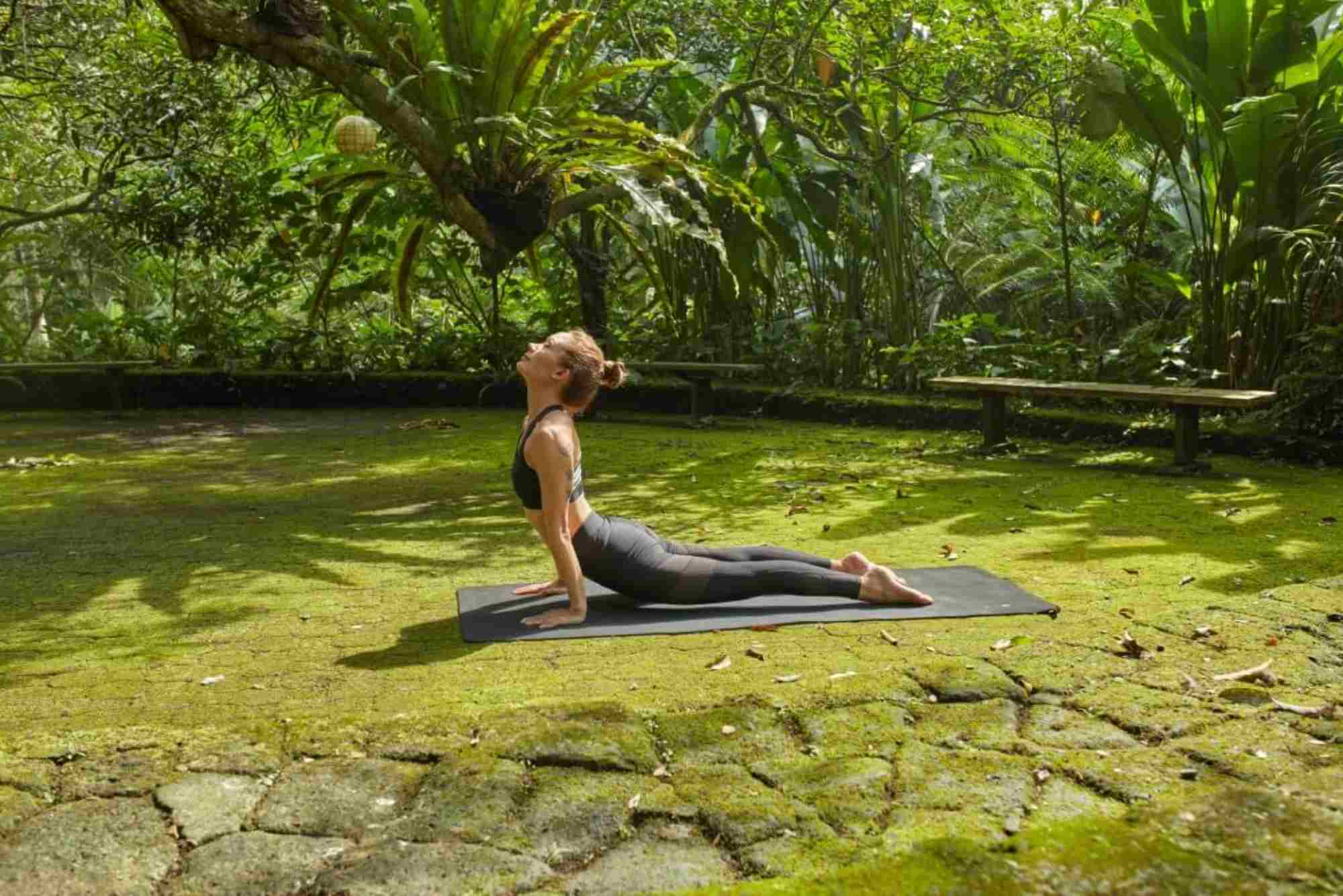 Wellness Retreat Chain Introduces Mindfulness & Medical Detox Packages