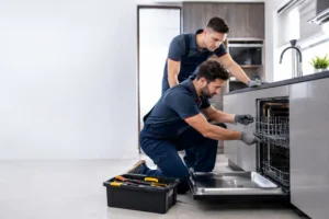Quick Dishwasher Fault Repair
