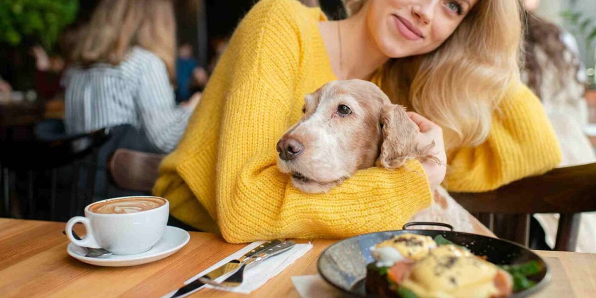Top 10 Dog-Friendly Cafes and Outdoor Restaurants in Dubai