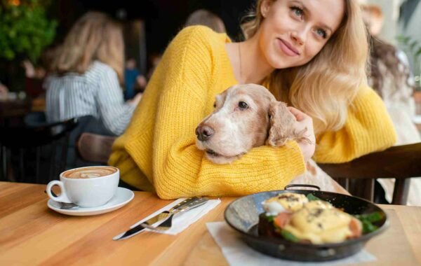 Top 10 Dog-Friendly Cafes and Outdoor Restaurants in Dubai