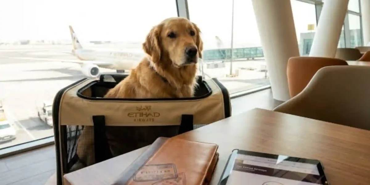 Traveling on Etihad and Emirates with Falcon, Cat or Dog: Official Baggage Policy