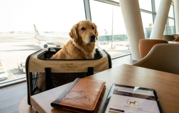 Traveling on Etihad and Emirates with Falcon, Cat or Dog: Official Baggage Policy