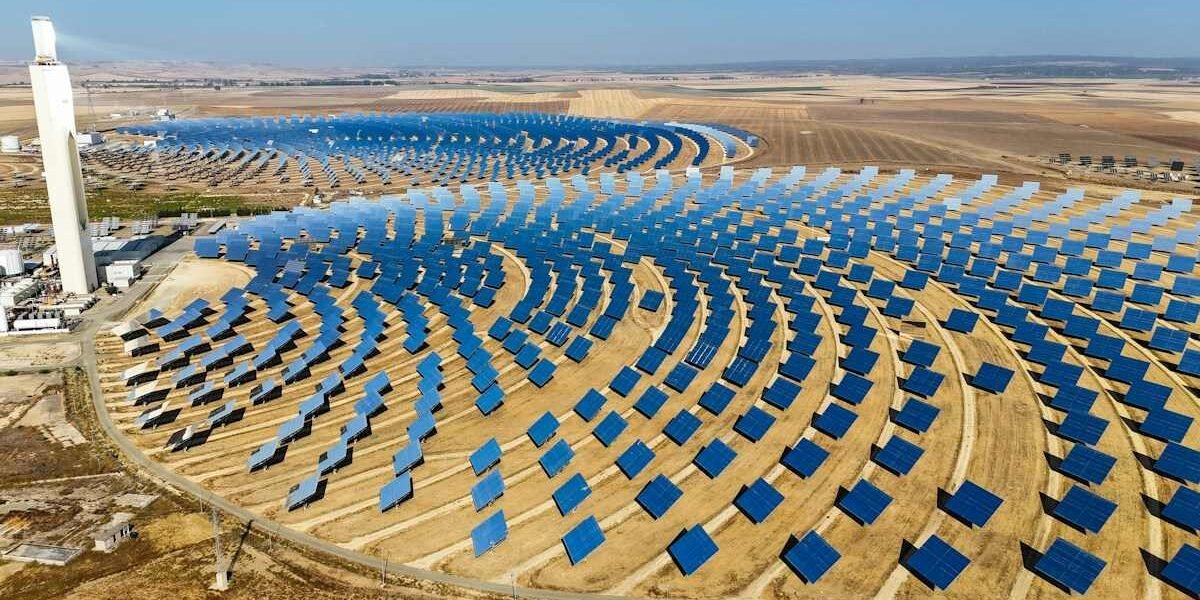 Dubai Reaches 25.8% Clean Energy Capacity as World Green Economy Summit 2026 Focuses on Scaling Up