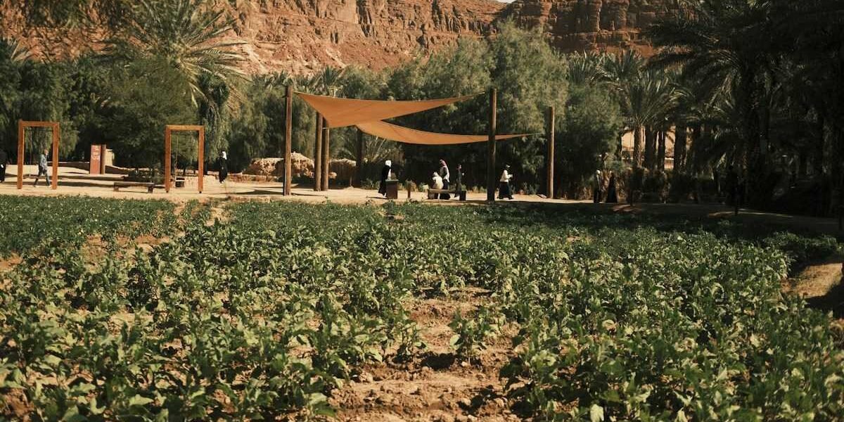 Emirati Farmer Khadija Al Qubaisi Named Among FAO’s 100 Women Heroes in Agrifood Systems